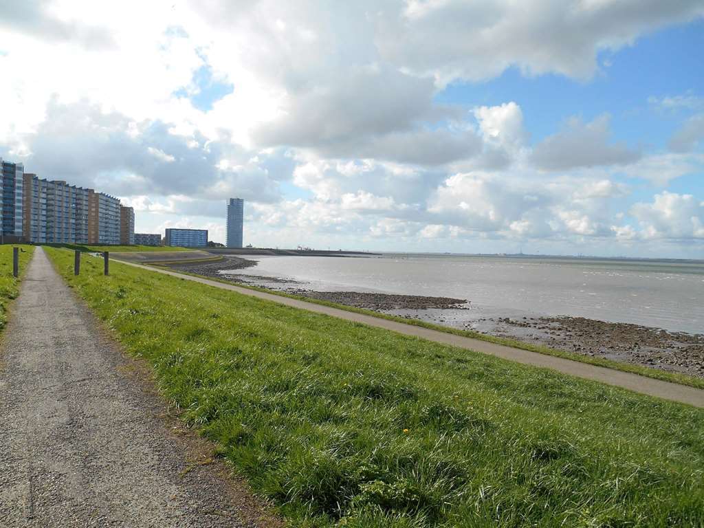 Hotel De Blaauwe Leeuw Terneuzen Esterno foto